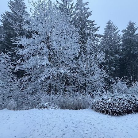 Apartment Maja Unmittelbar An Der Skipiste Winterberg Eksteriør billede