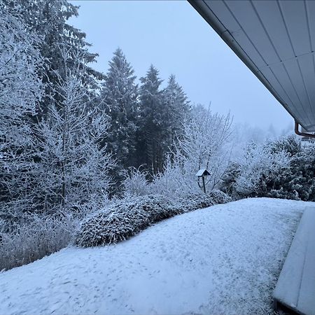 Apartment Maja Unmittelbar An Der Skipiste Winterberg Eksteriør billede