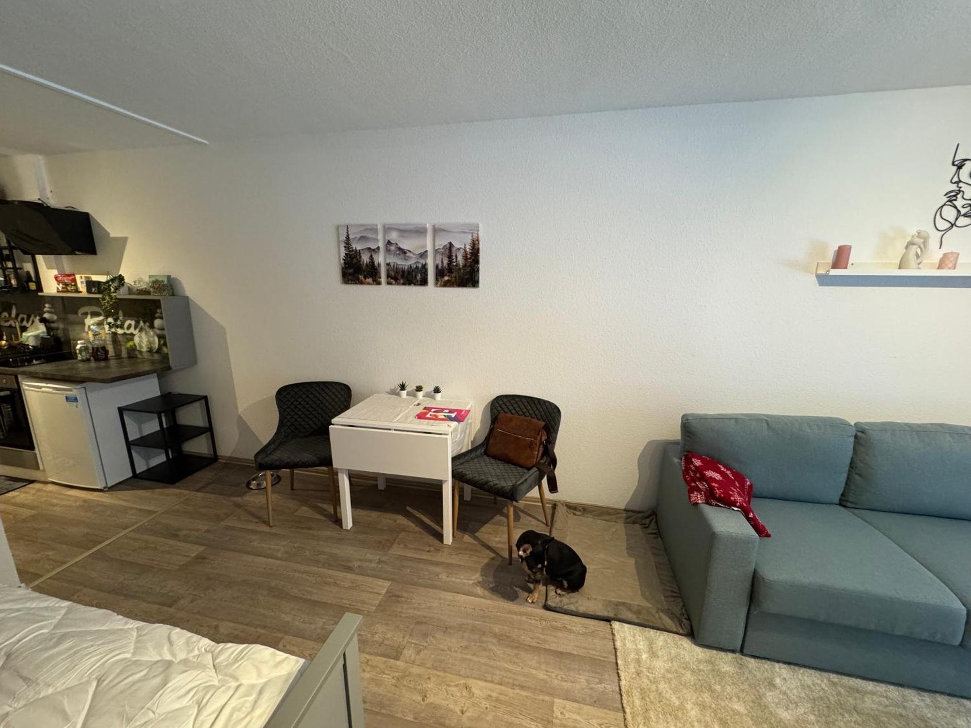 Apartment Maja Unmittelbar An Der Skipiste Winterberg Eksteriør billede