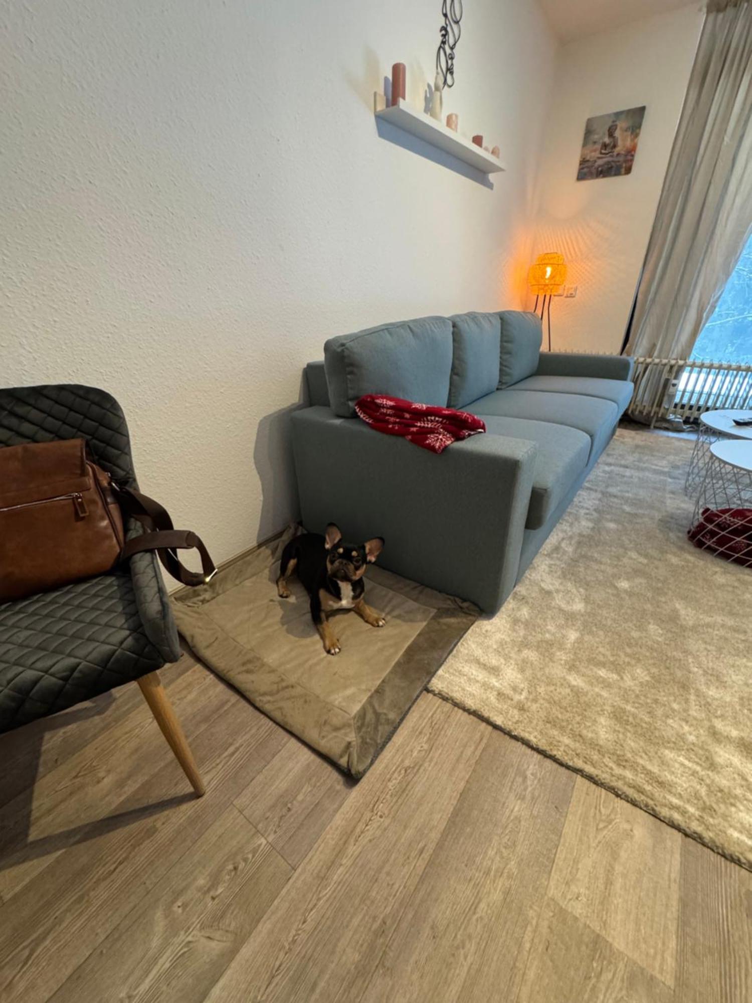 Apartment Maja Unmittelbar An Der Skipiste Winterberg Eksteriør billede