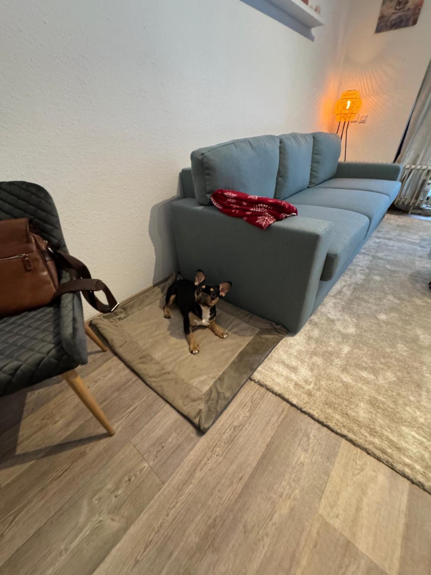 Apartment Maja Unmittelbar An Der Skipiste Winterberg Eksteriør billede