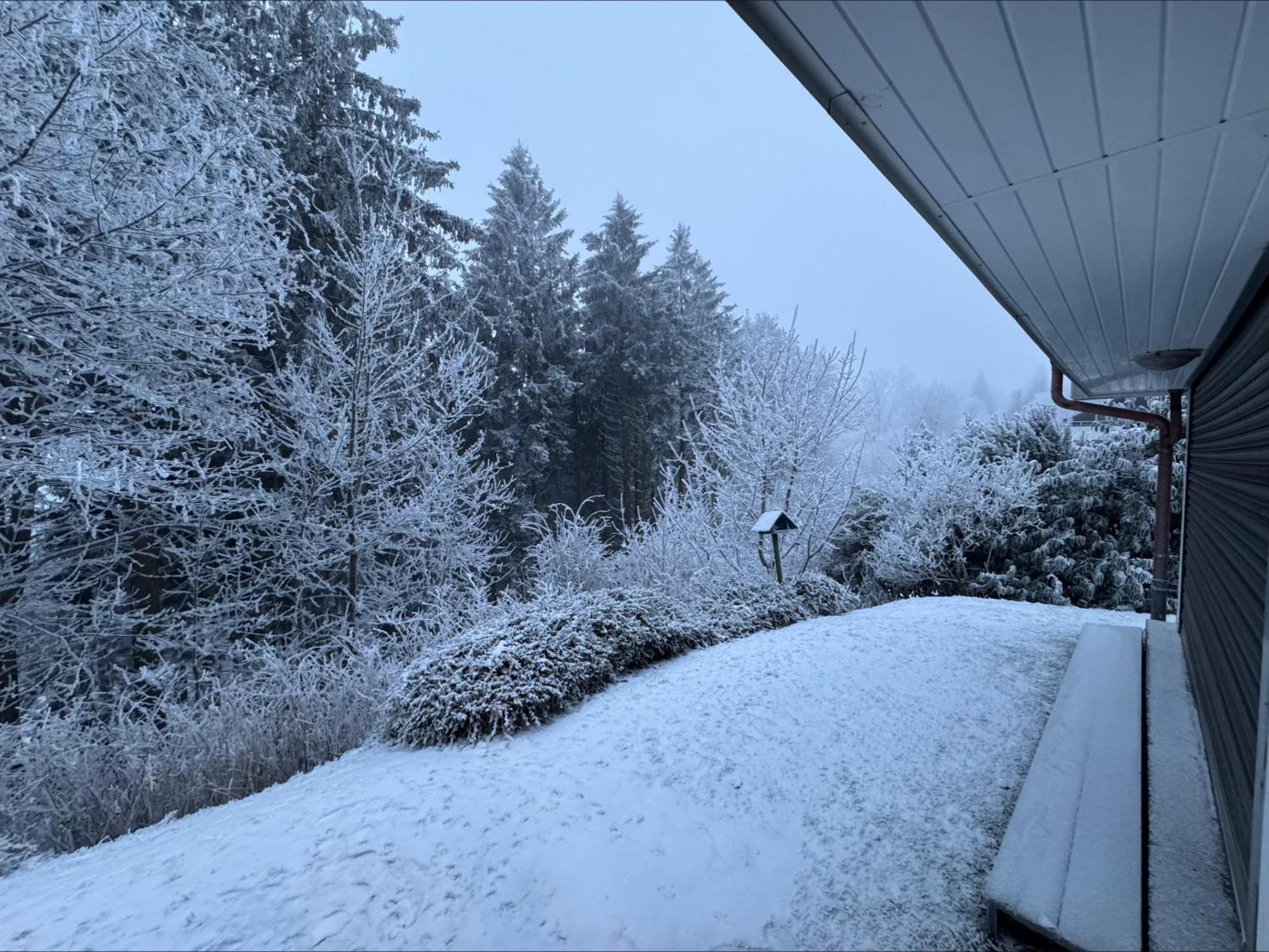 Apartment Maja Unmittelbar An Der Skipiste Winterberg Eksteriør billede