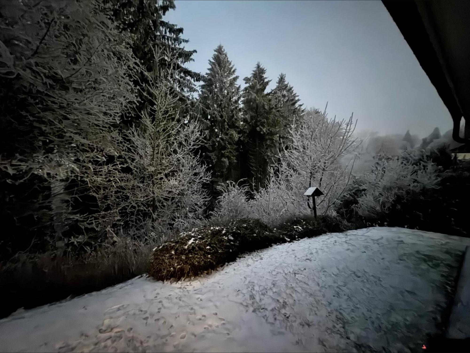 Apartment Maja Unmittelbar An Der Skipiste Winterberg Eksteriør billede