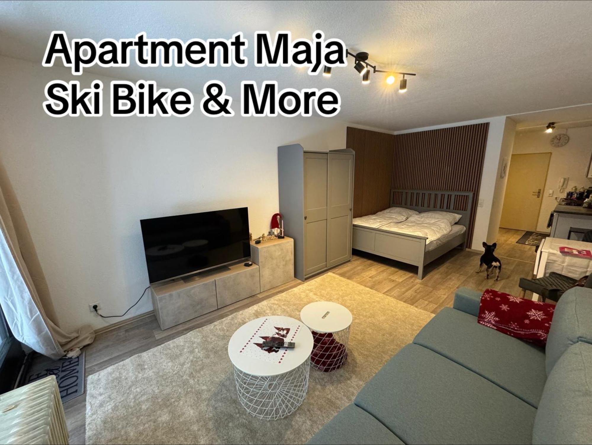 Apartment Maja Unmittelbar An Der Skipiste Winterberg Eksteriør billede